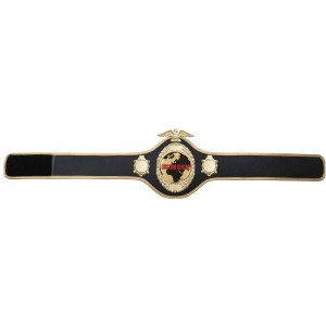 GOLD PRO288 CUSTOM CHAMPIONSHIP BELT  ***BEST SELLER***